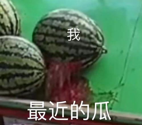 吃瓜在线,揭秘娱乐圈幕后故事，带你走进明星真实生活