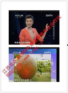吃瓜天堂真心话,揭秘娱乐圈背后的故事
