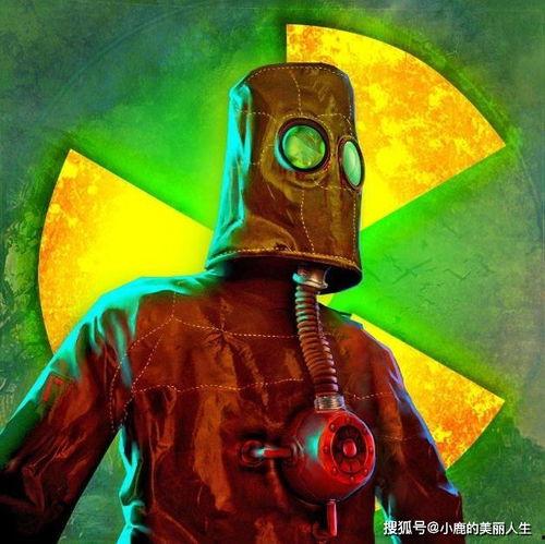 吃瓜天堂hxc3z1,hxc3z1背后的故事与魅力