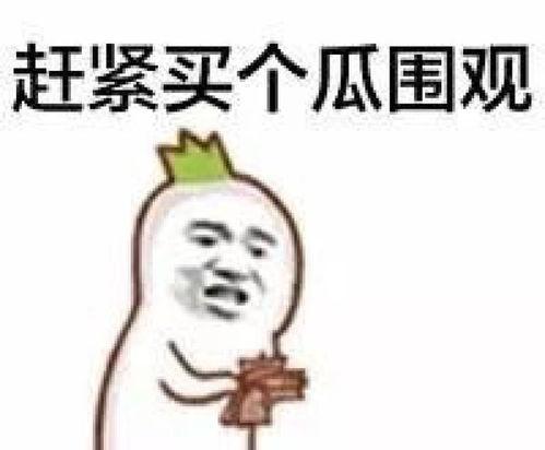 吃瓜91污,揭秘娱乐圈那些不为人知的幕后故事