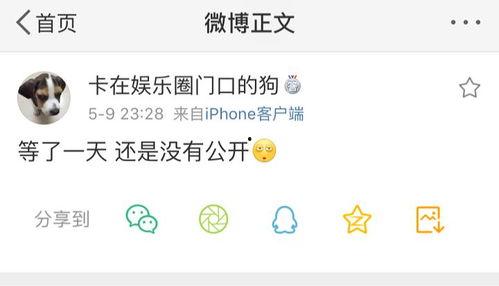 吃瓜天堂爆料,娱乐圈最新猛料大揭秘！