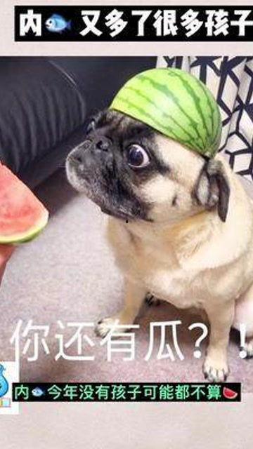 娱乐圈子吃瓜群众是谁啊,娱乐圈子里的神秘“吃瓜群众”揭秘  第2张