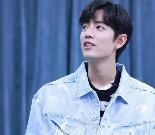 娱乐吃瓜君王鸥是谁啊,王鸥的星光之路  第1张