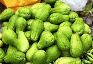 东瓜娱乐吃瓜  第2张